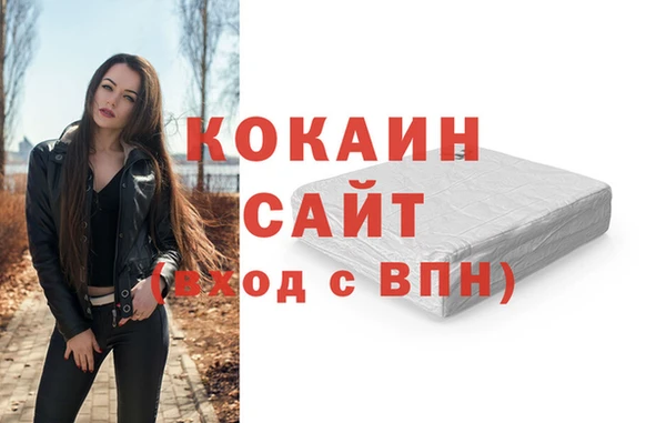 мдпв Ельня