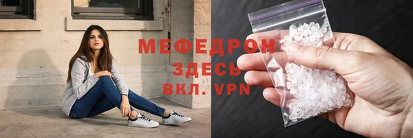 тгк Дмитриев