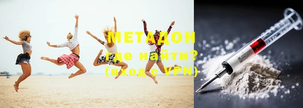 мдпв Ельня