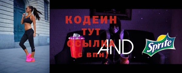 мдпв Ельня