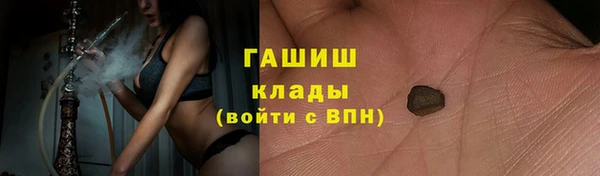 мдпв Ельня