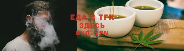 тгк Дмитриев