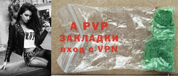 тгк Дмитриев