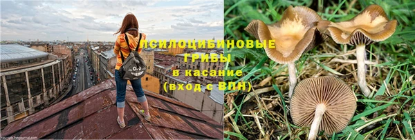 кокс Дмитровск