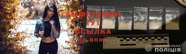тгк Дмитриев