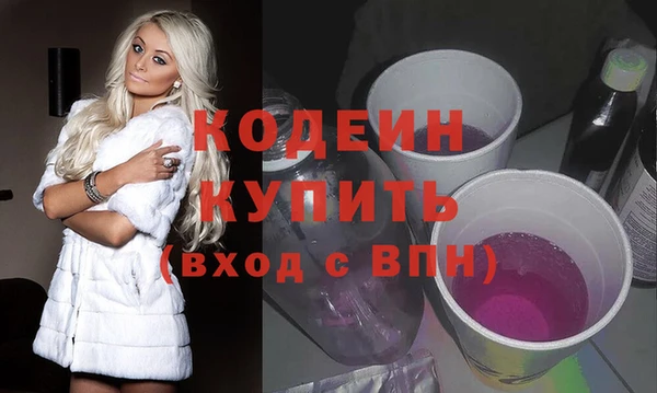 мдпв Ельня
