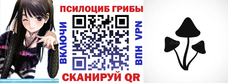 купить закладку  Духовщина  Галлюциногенные грибы MAGIC MUSHROOMS 