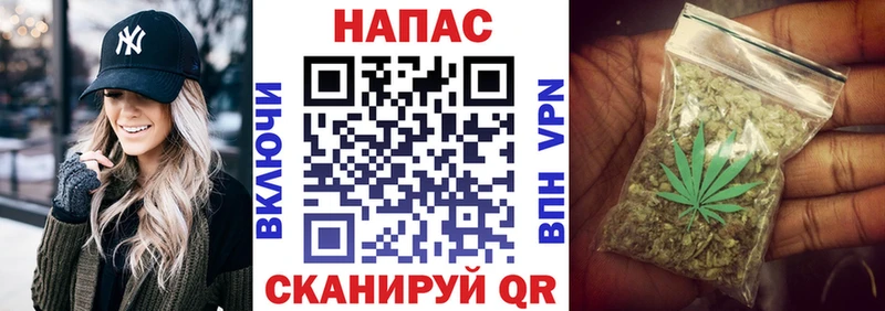 Канабис семена  mega сайт  Духовщина  купить  